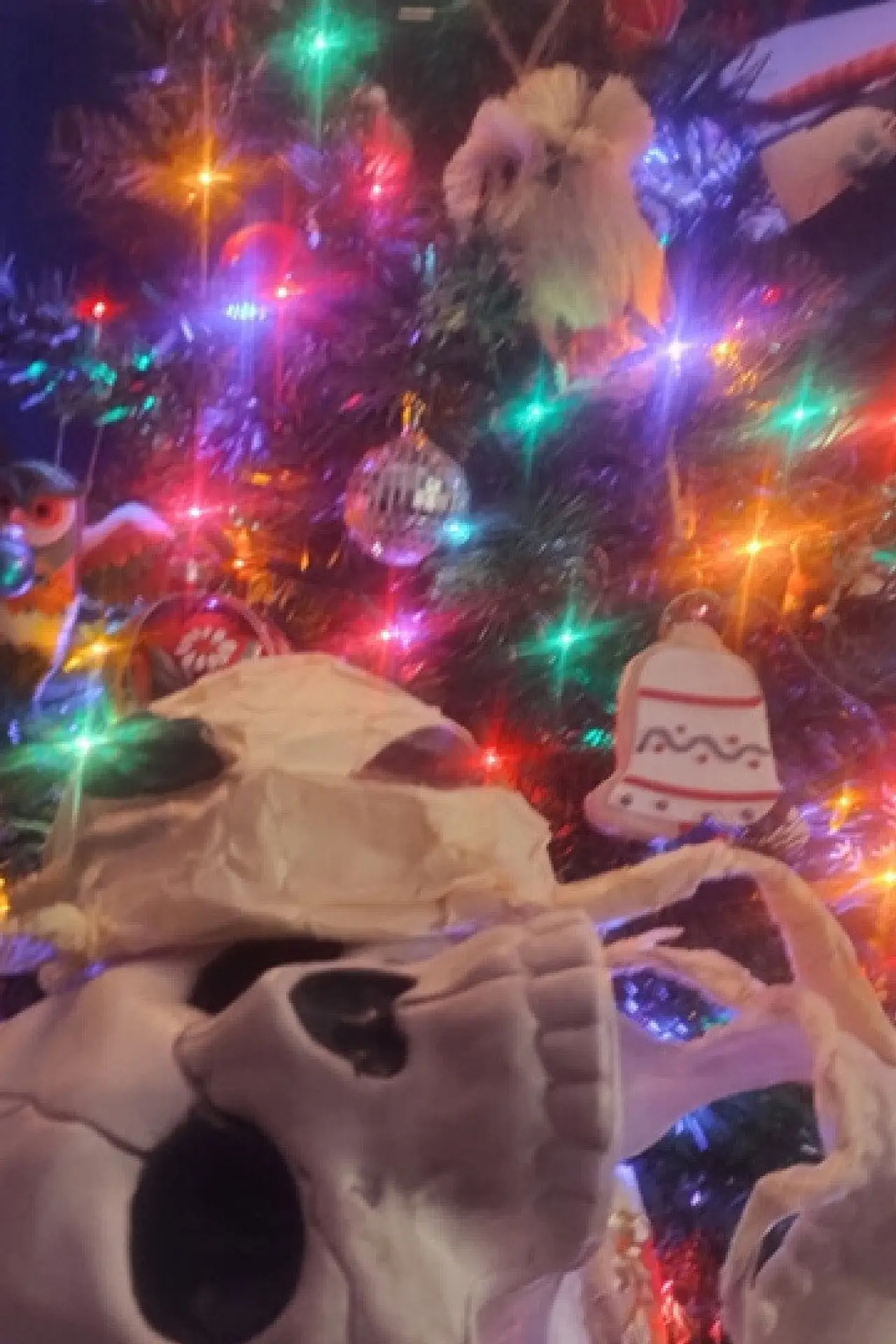 Постер к фильму "CRAWL. SUCK. KILL. 2. JINGLE. BELLS."
