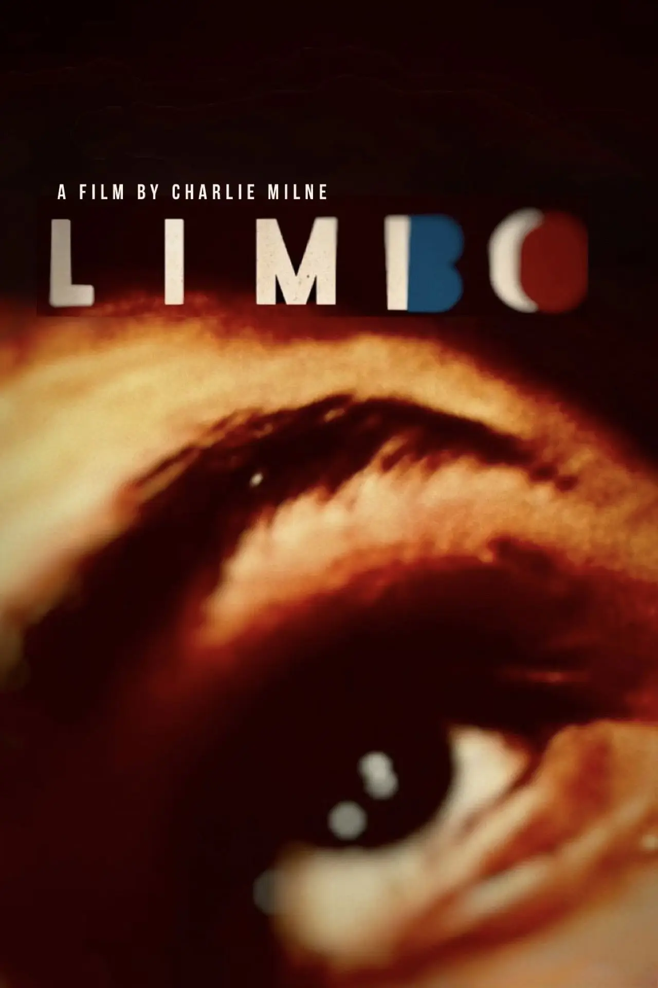 Постер к фильму "Limbo"