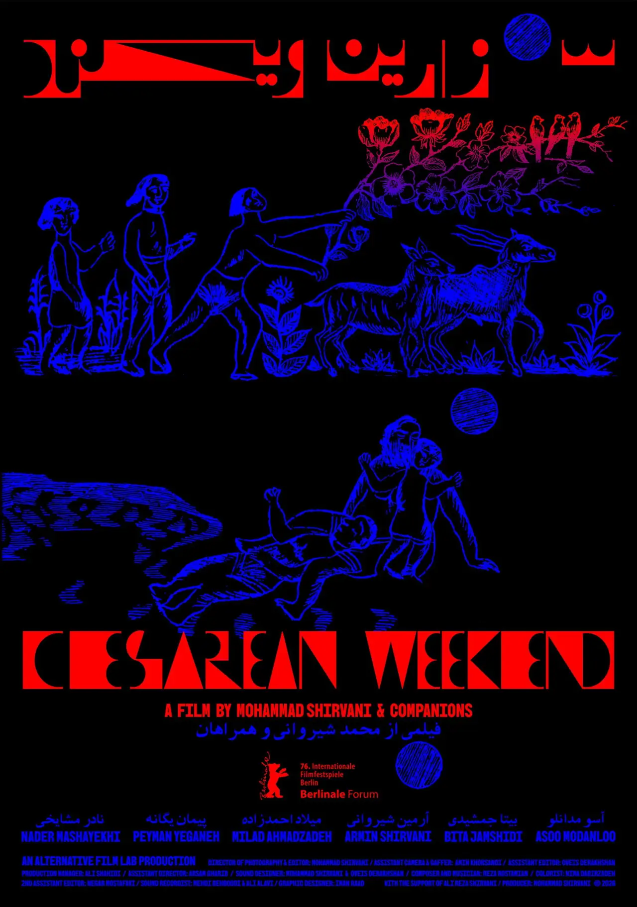 Постер к фильму "Cesarean Weekend"