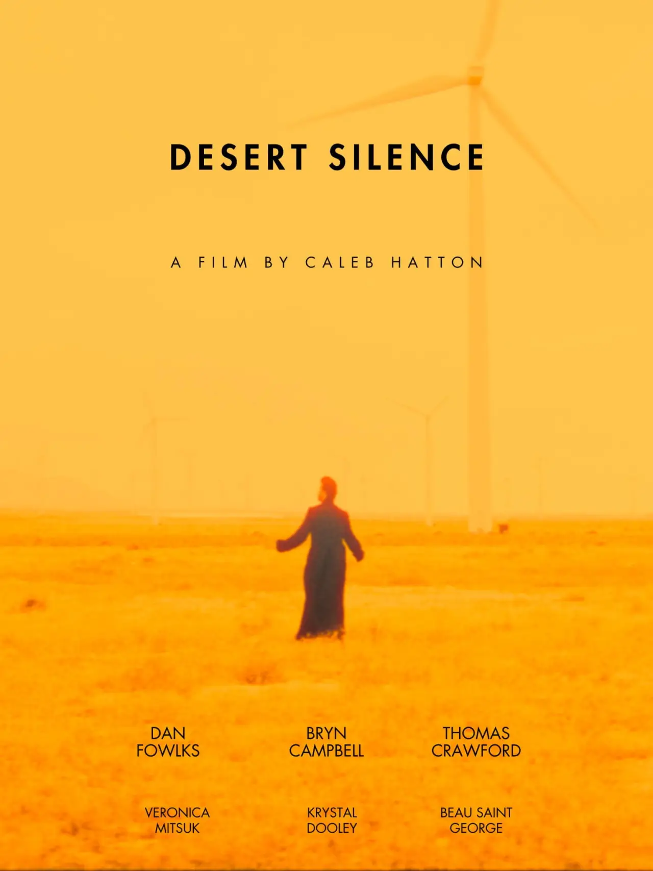 Постер к фильму "Desert Silence"