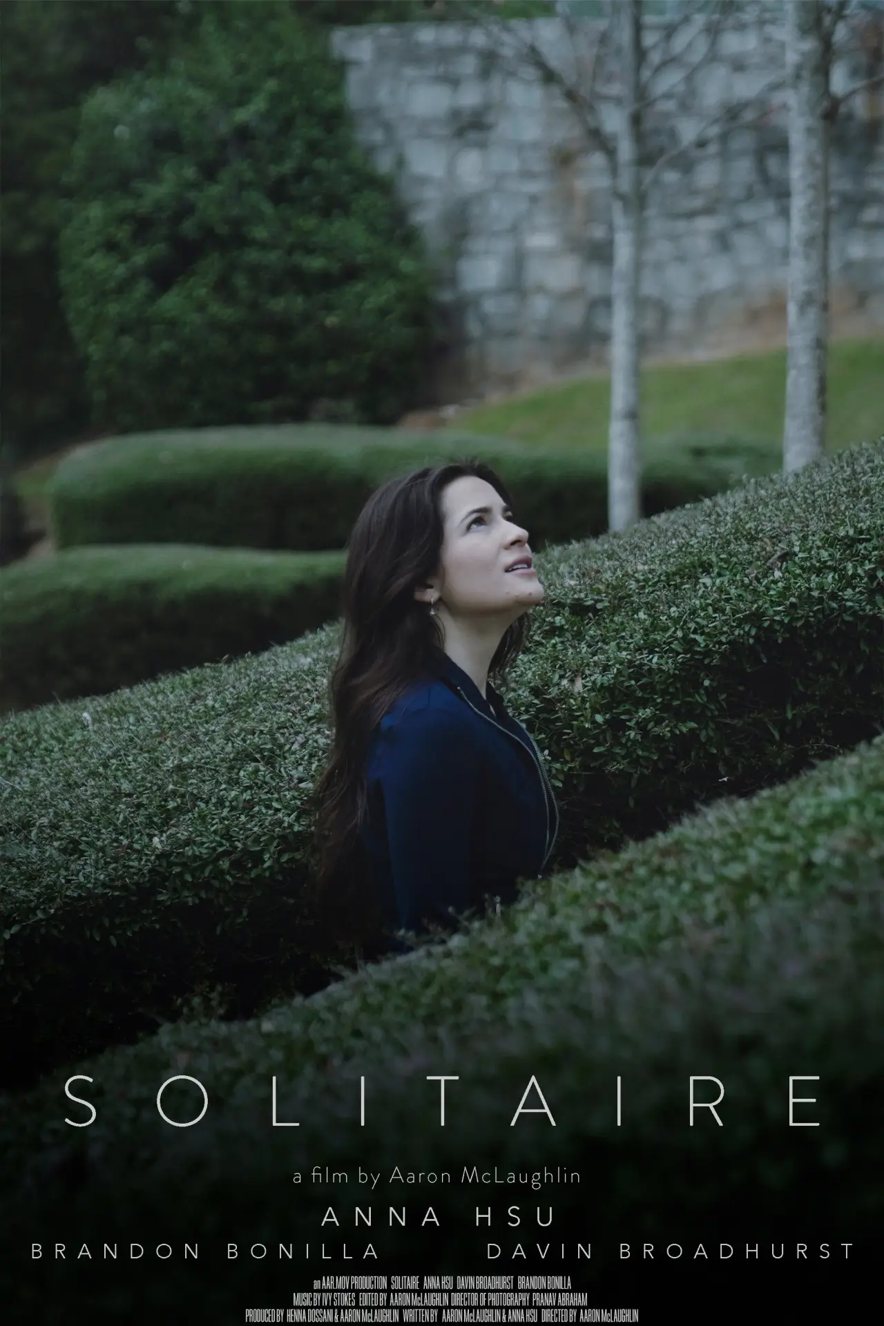 Постер к фильму "Solitaire"