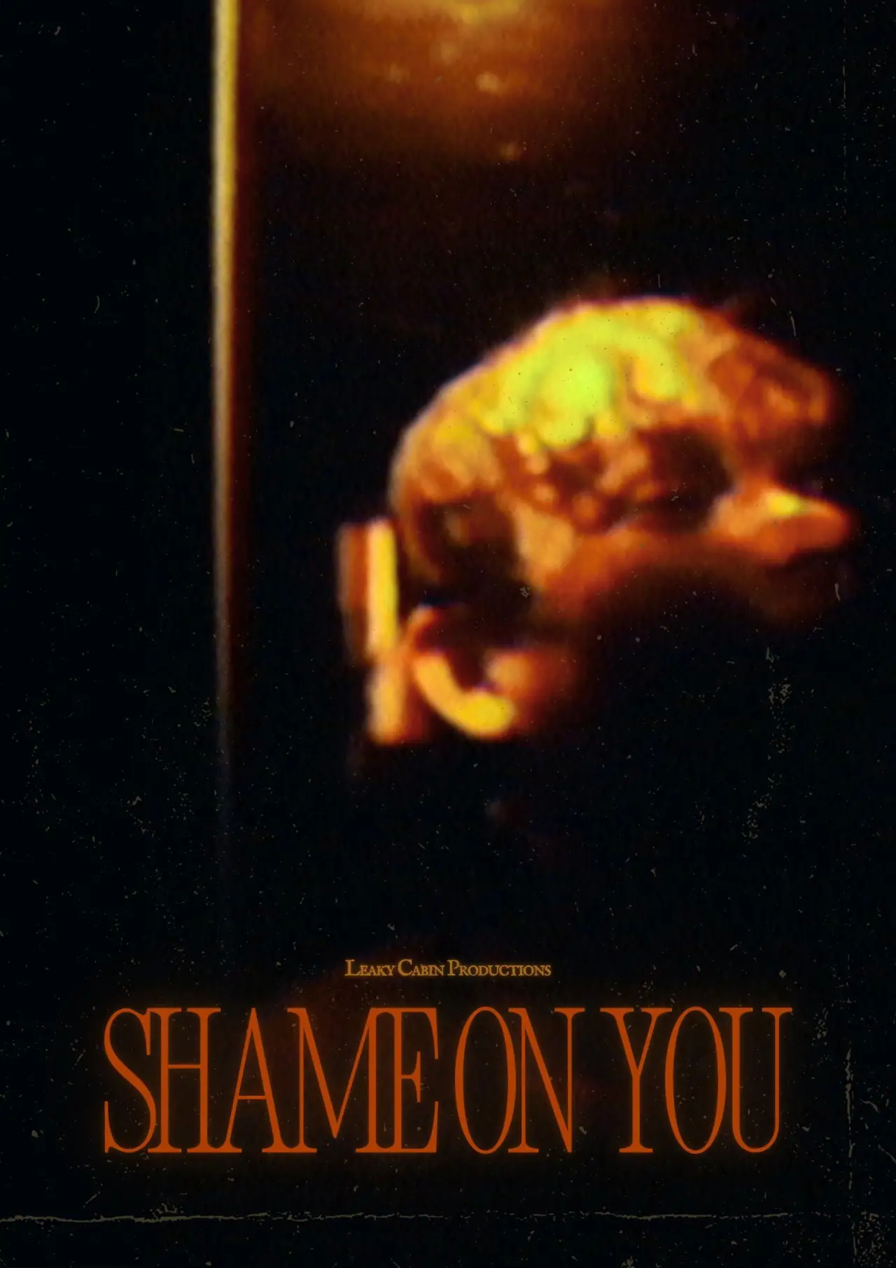 Постер к фильму "Shame on You"