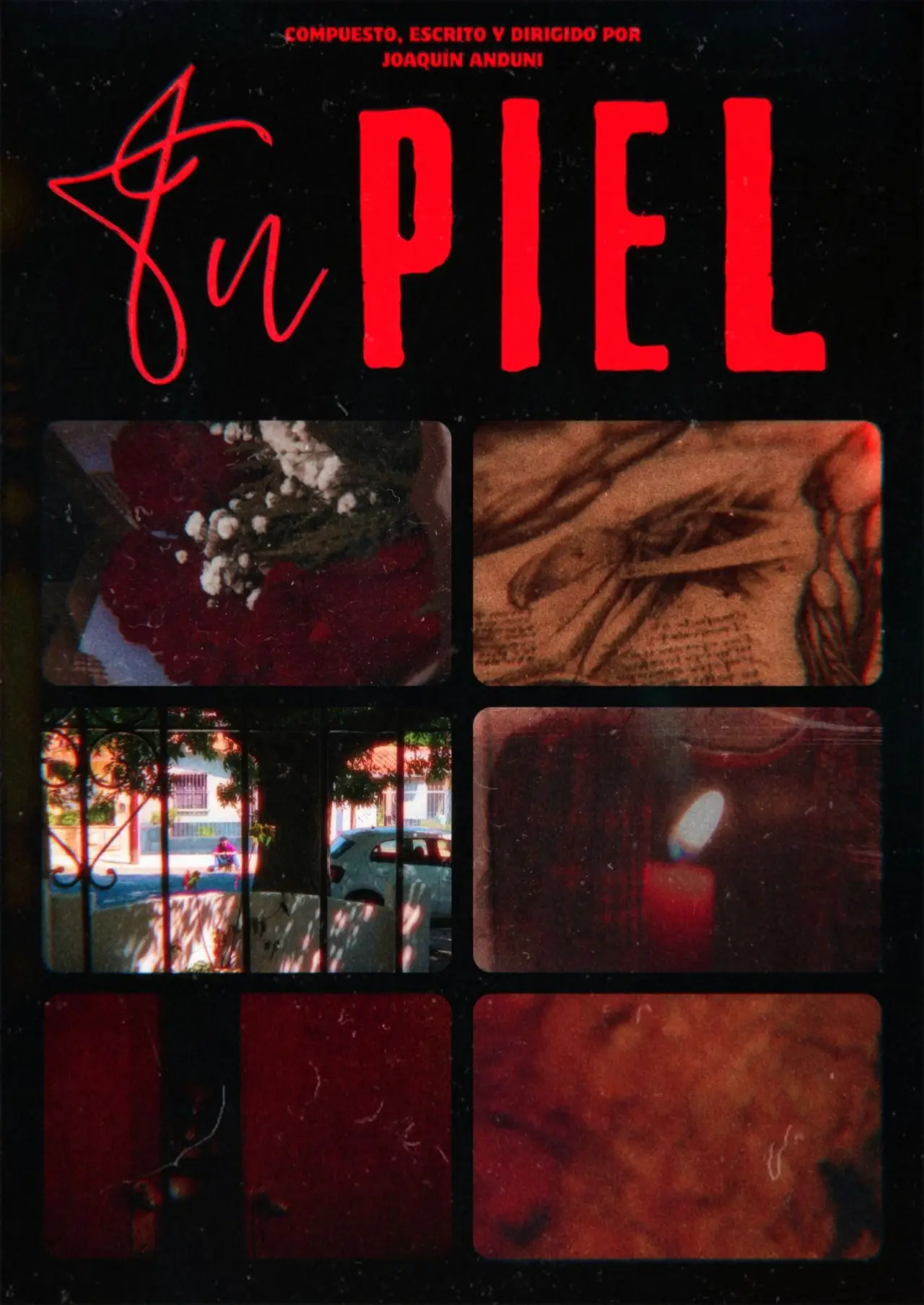 Постер к фильму "Tu Piel"