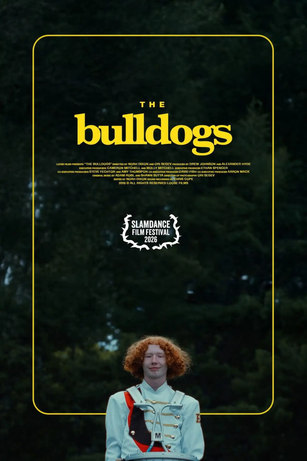 Постер к фильму "The Bulldogs"