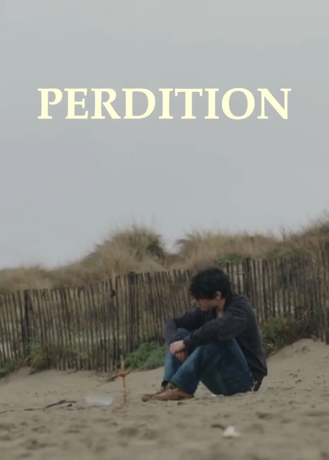 Постер к фильму "Perdition"