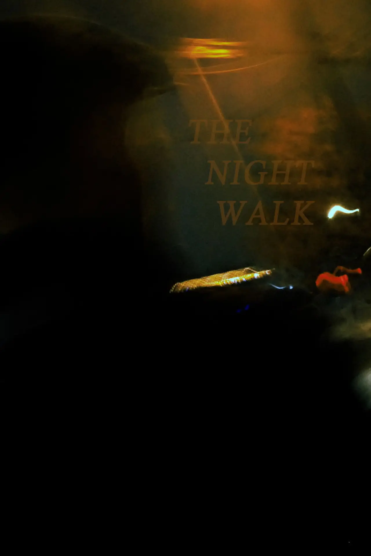 Постер к фильму "The Night Walk"