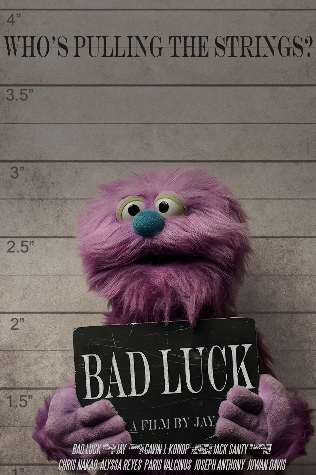 Постер к фильму "Bad Luck"