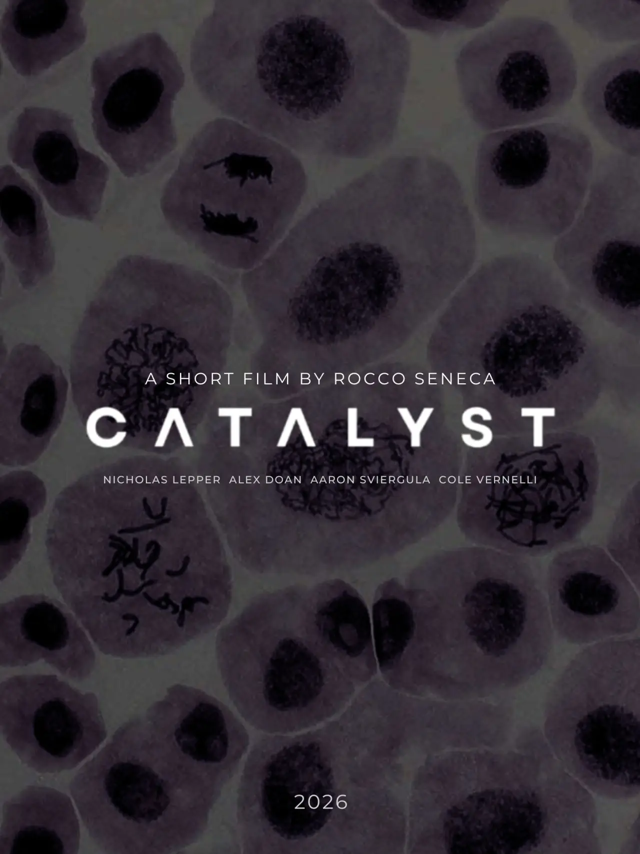 Постер к фильму "Catalyst"