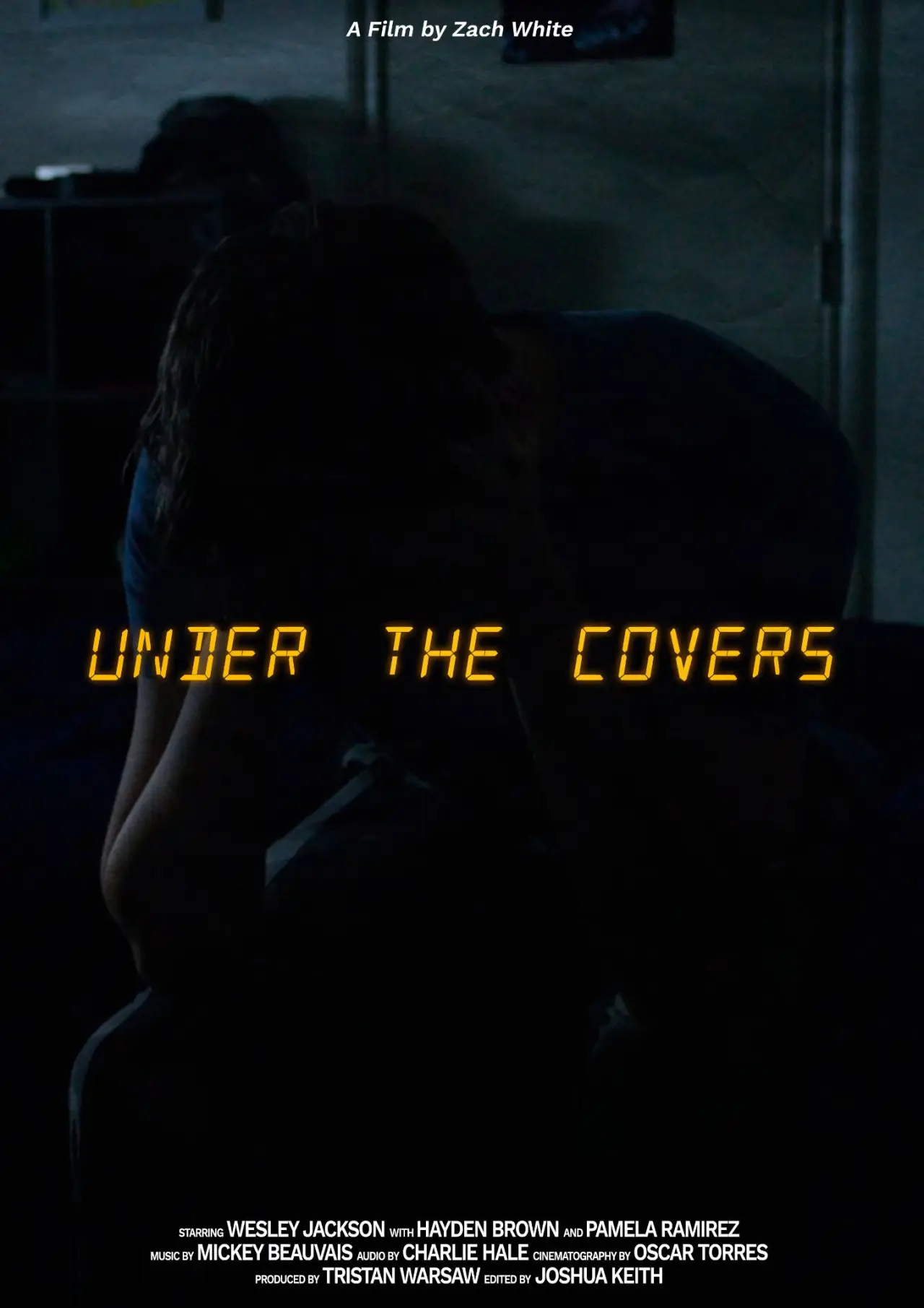 Постер к фильму "Under The Covers"