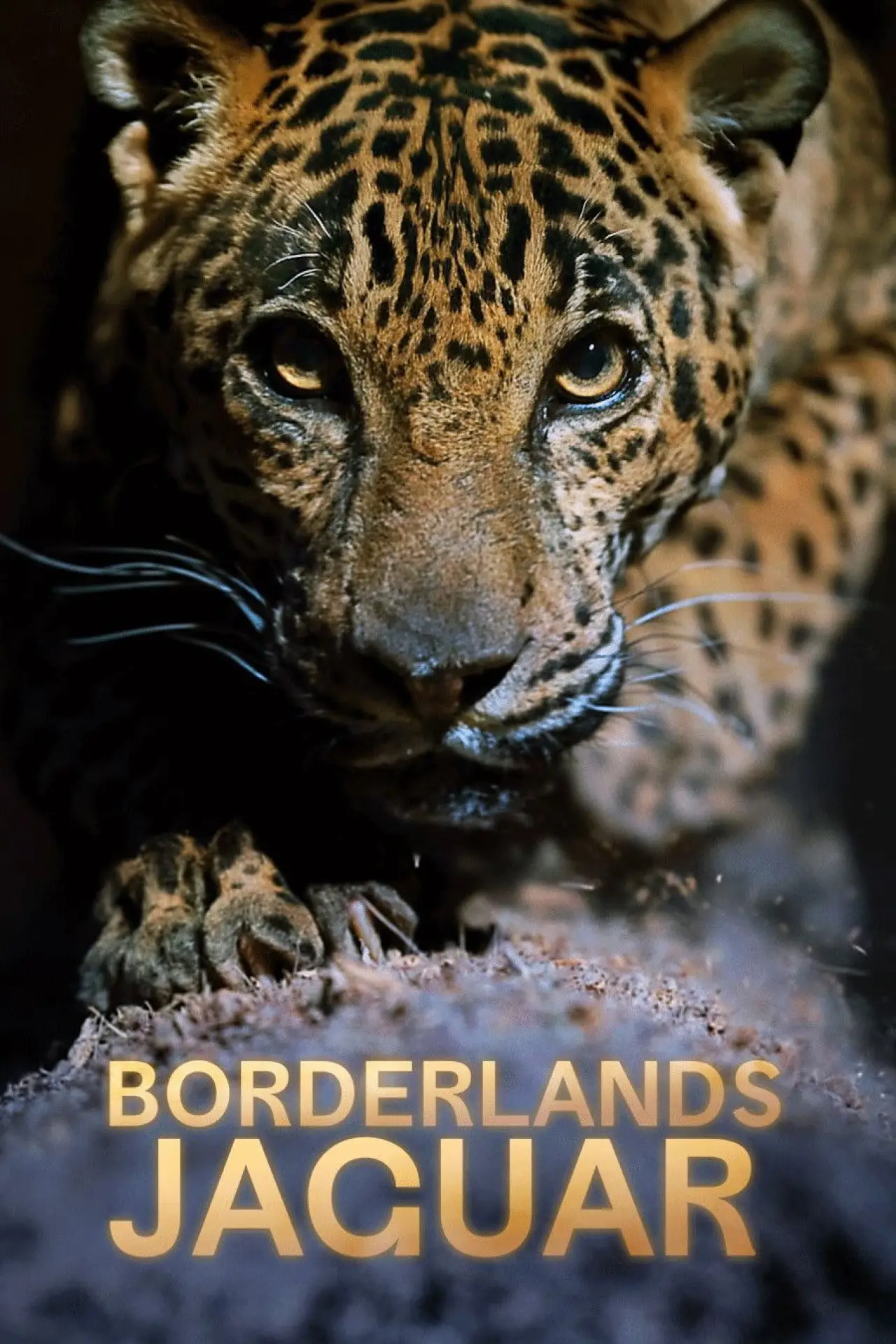 Постер к фильму "Borderlands Jaguar"