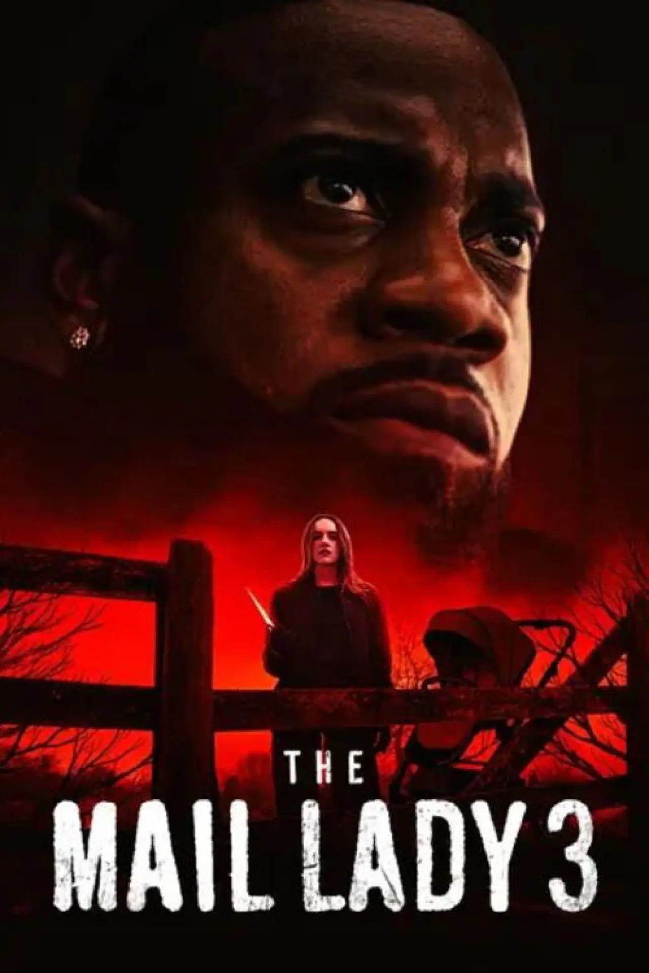 Постер к фильму "The Mail Lady 3"