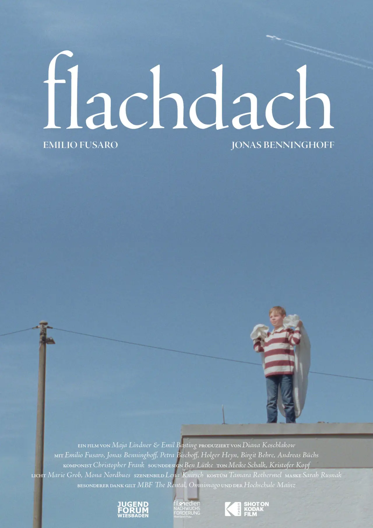 Постер к фильму "Flachdach"