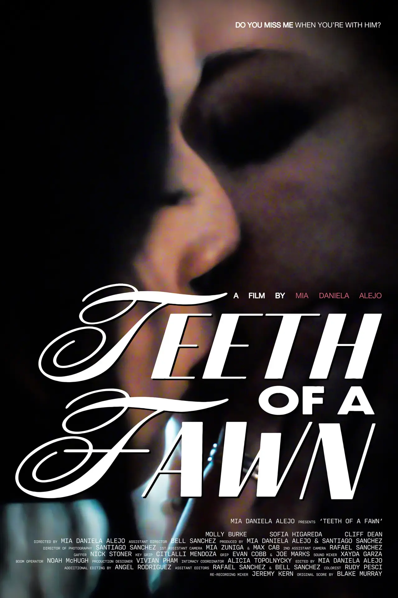 Постер к фильму "Teeth of A Fawn"
