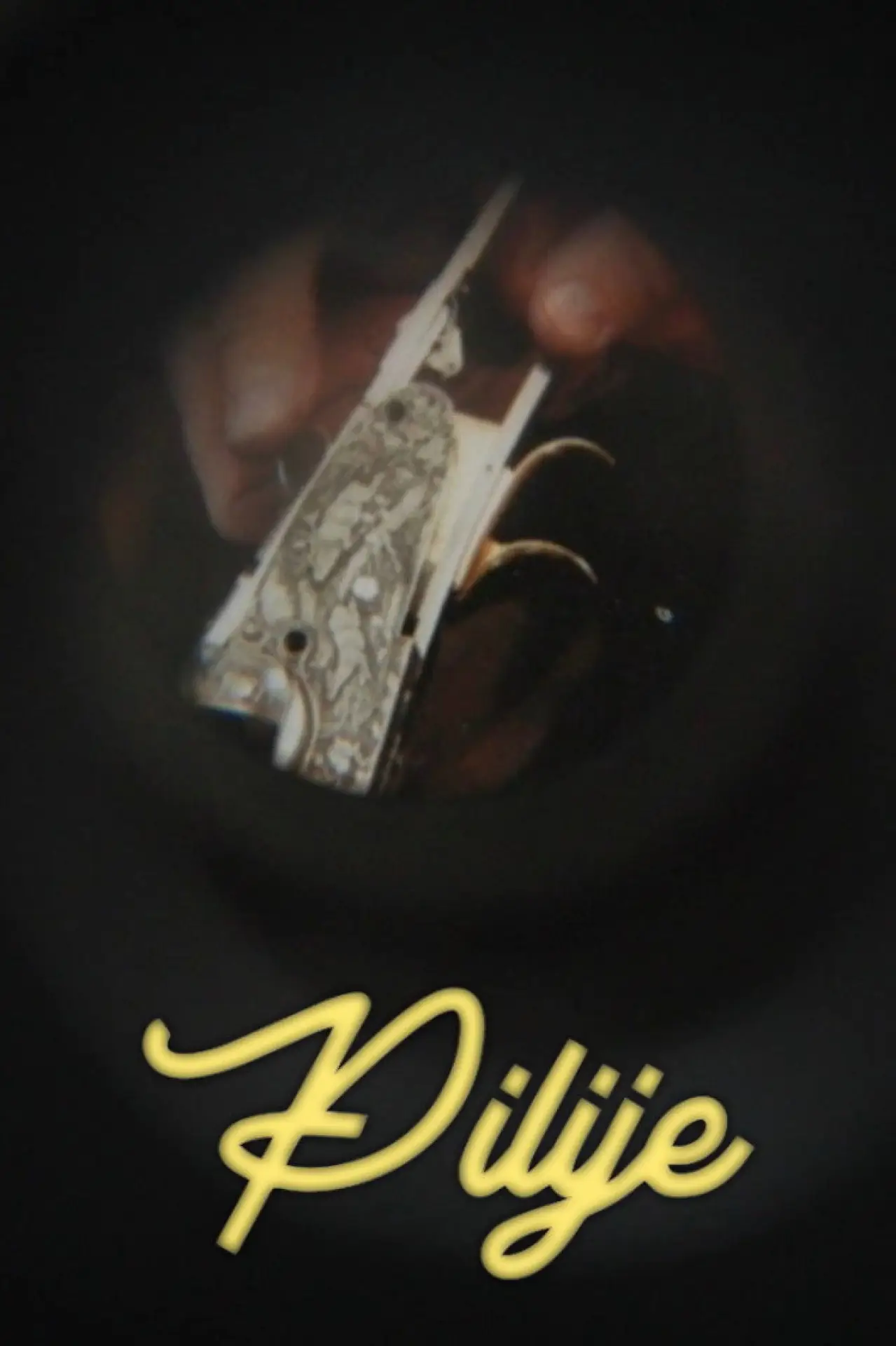 Постер к фильму "Pilije"