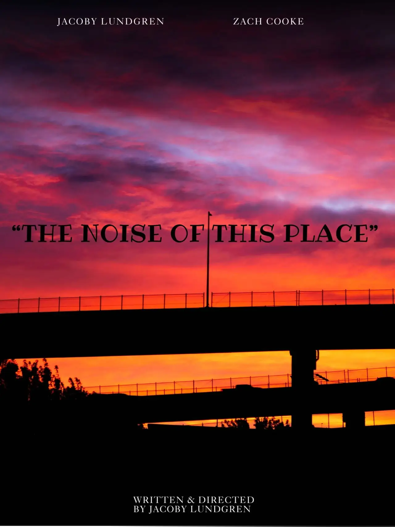 Постер к фильму ""The Noise of This Place""