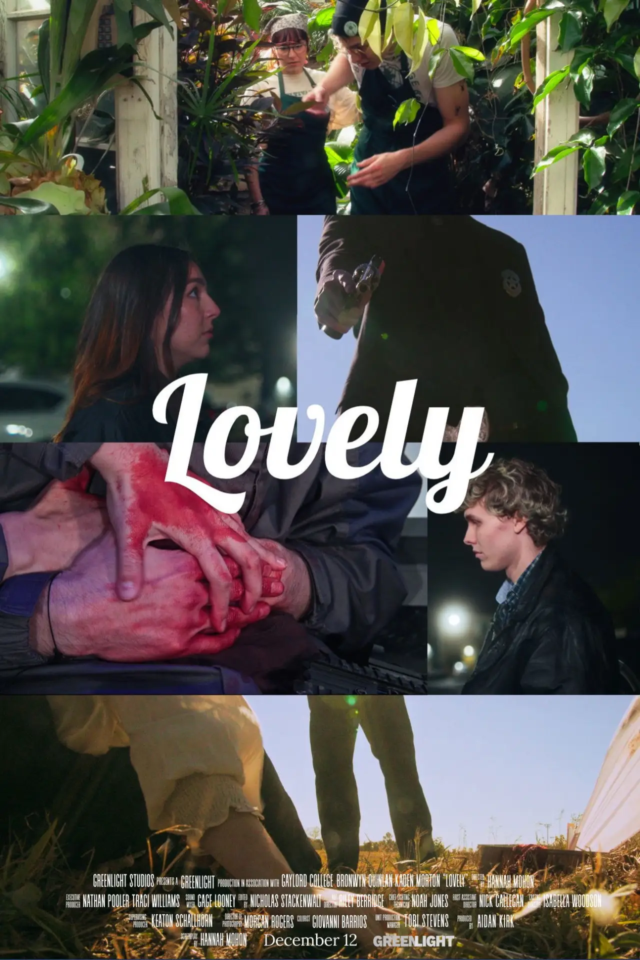 Постер к фильму "Lovely"