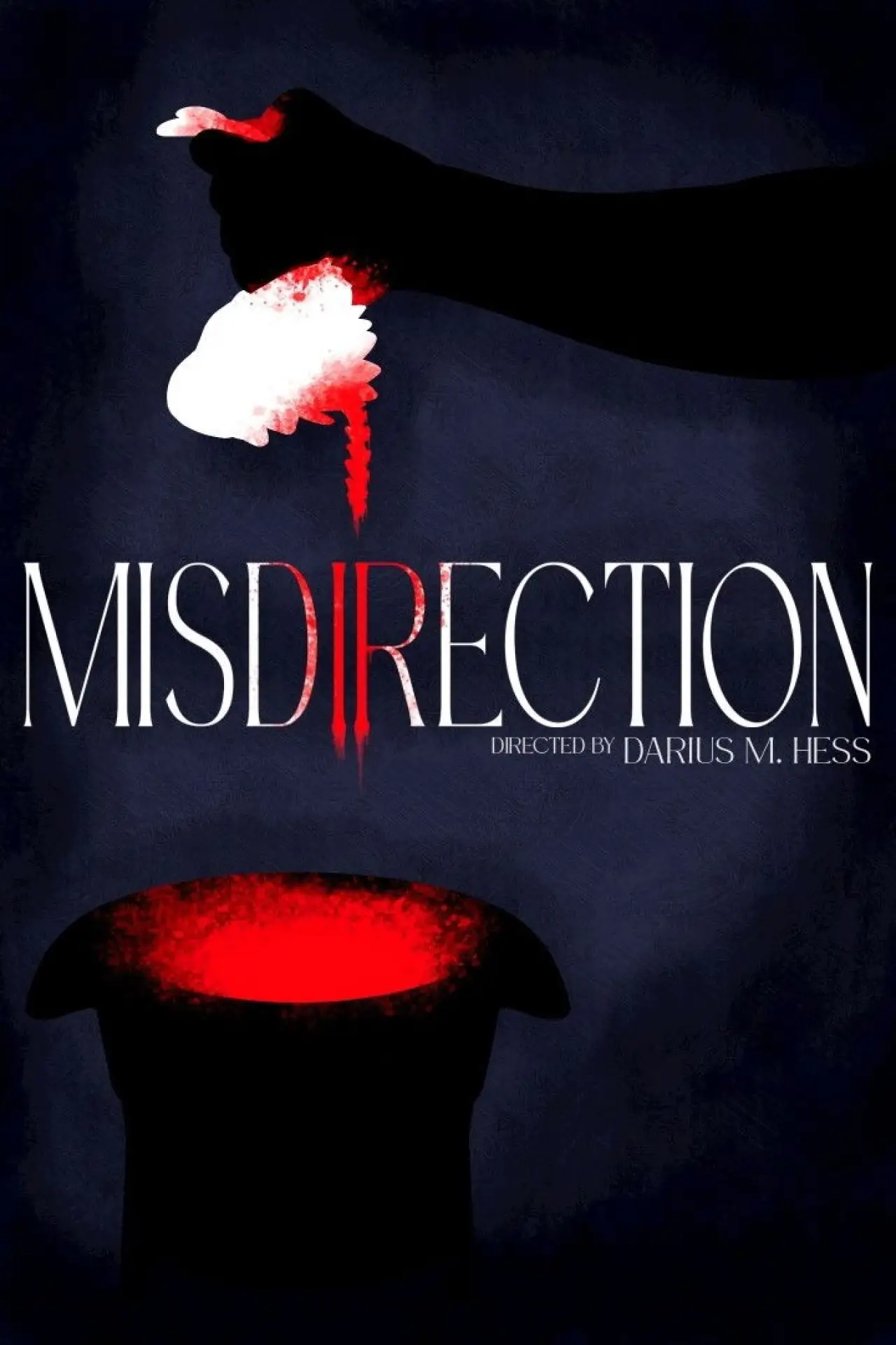 Постер к фильму "Misdirection"