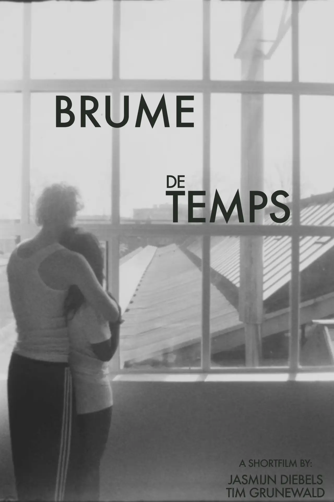 Постер к фильму "Brume de Temps"