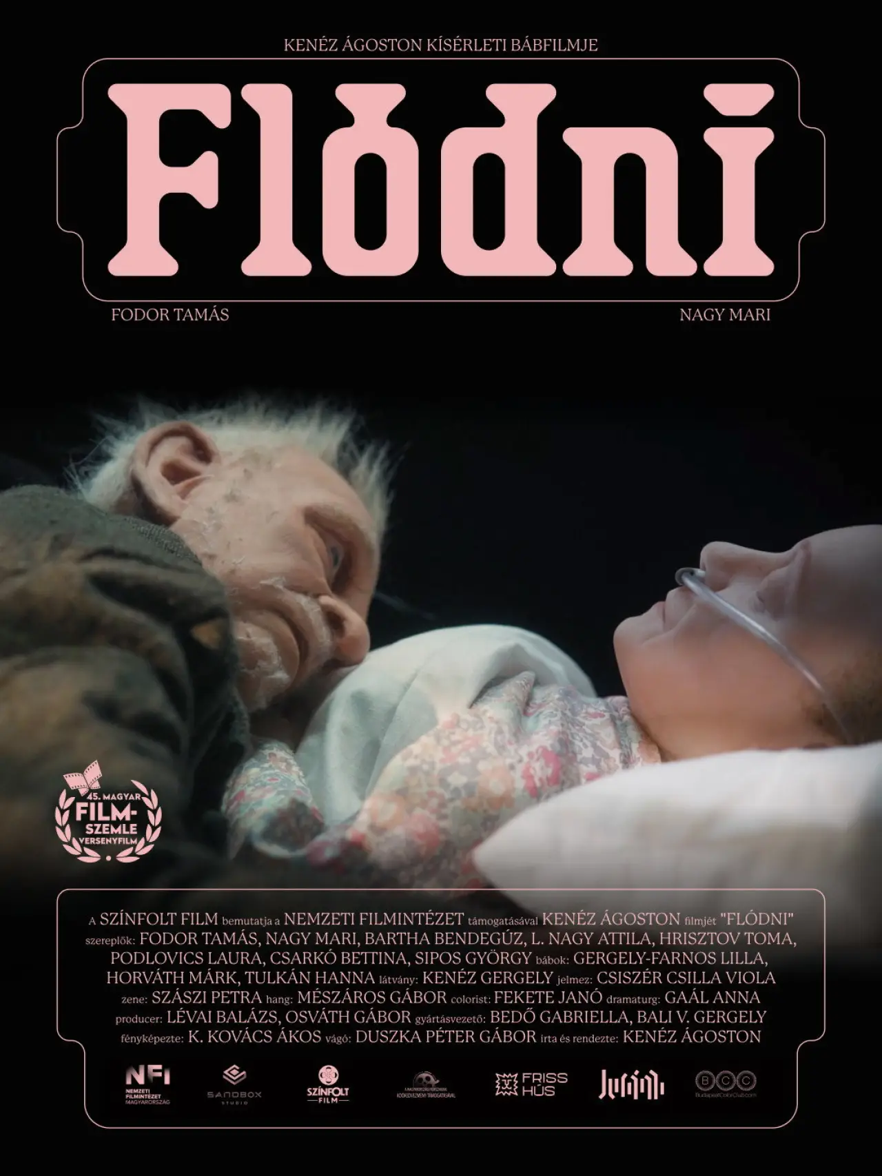 Постер к фильму "Flódni"