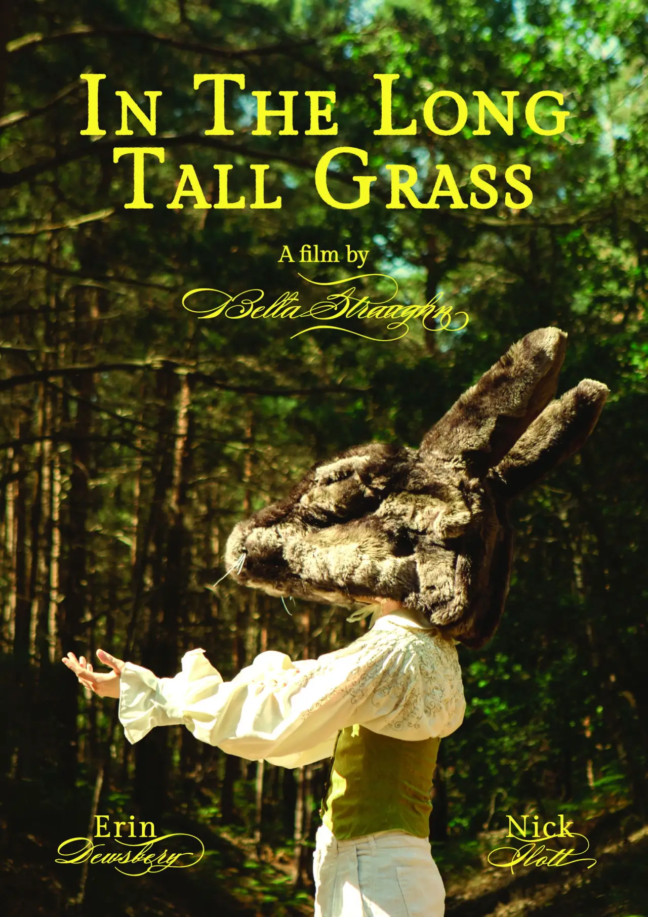 Постер к фильму "In The Long Tall Grass"