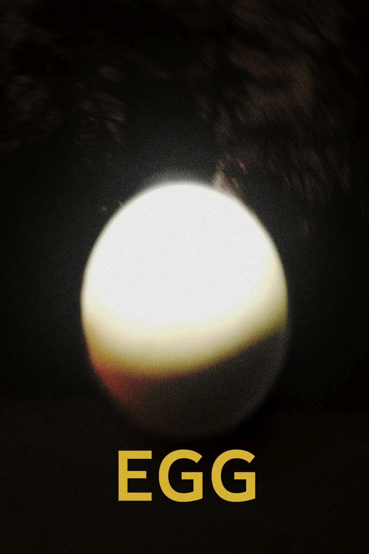 Постер к фильму "Ägg"