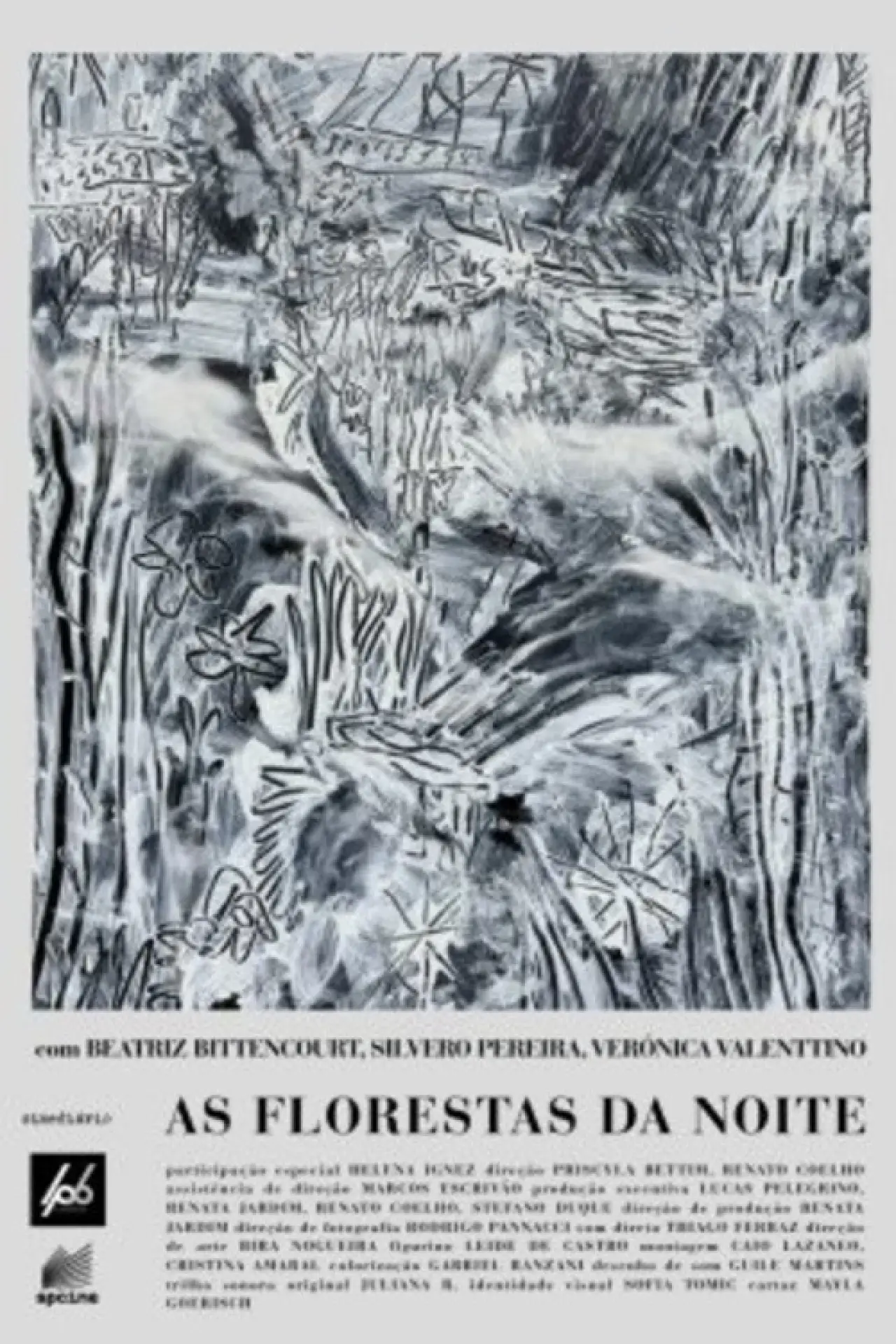 Постер к фильму "As Florestas da Noite"