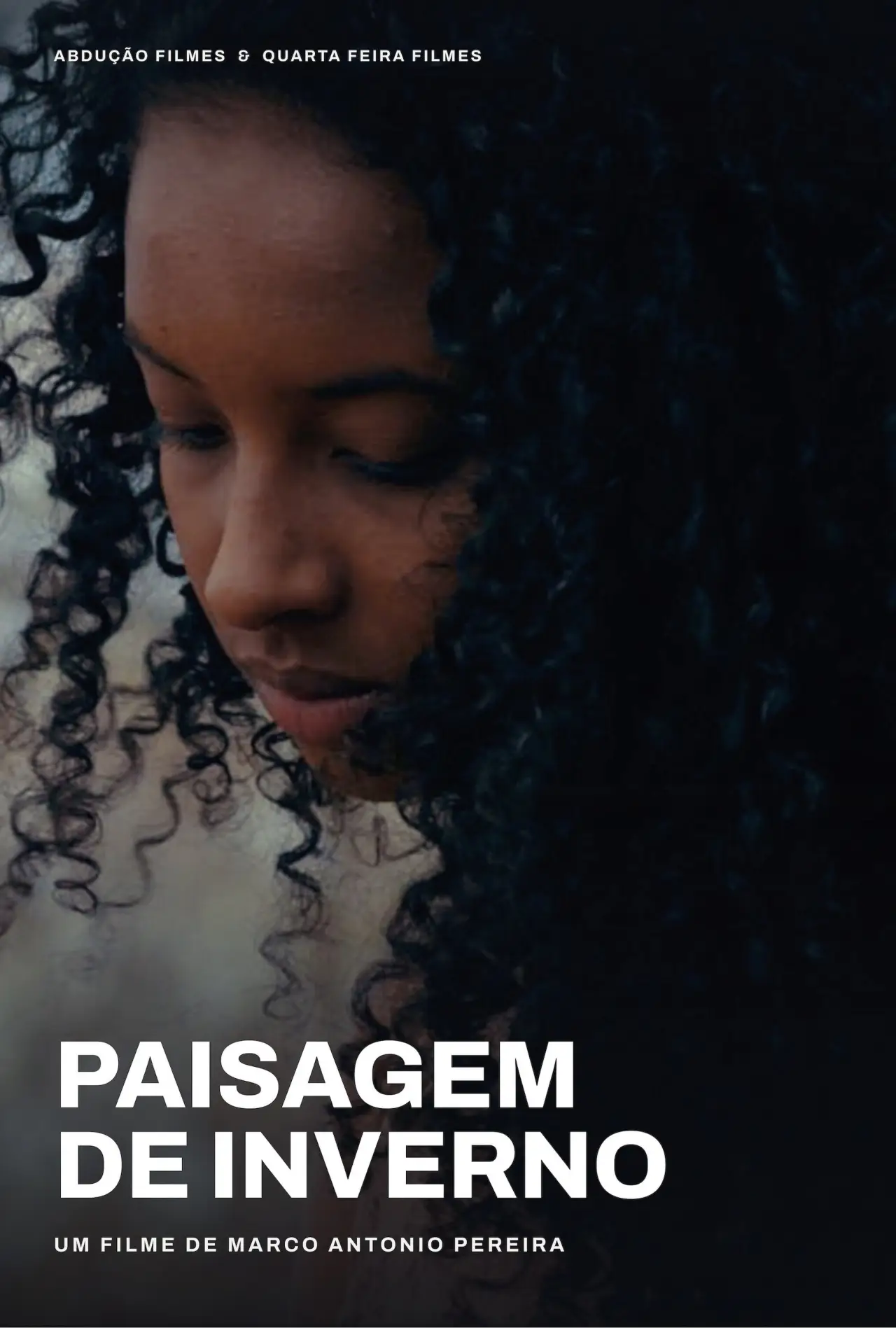 Постер к фильму "Paisagem de Inverno"