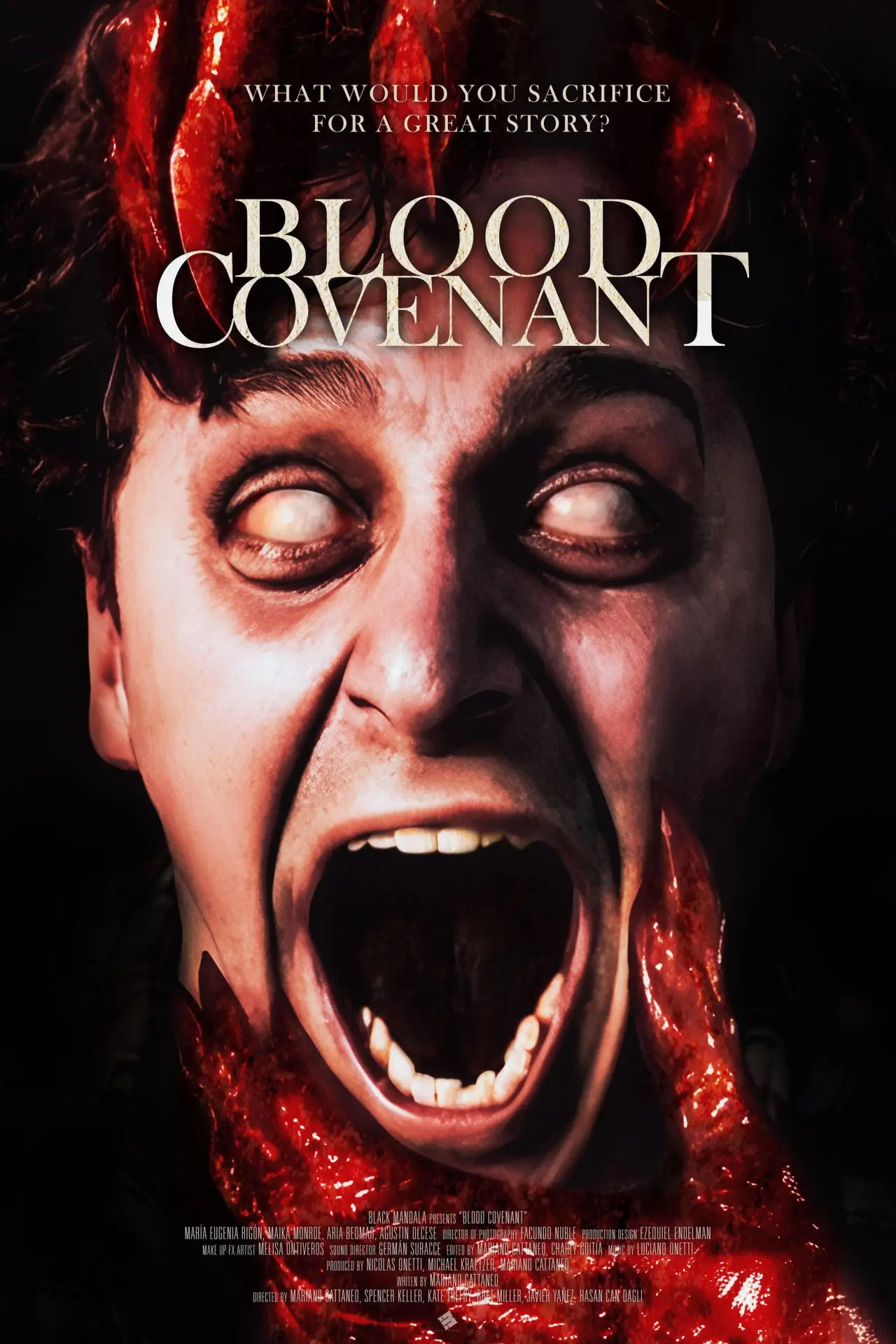 Постер к фильму "Blood Covenant"