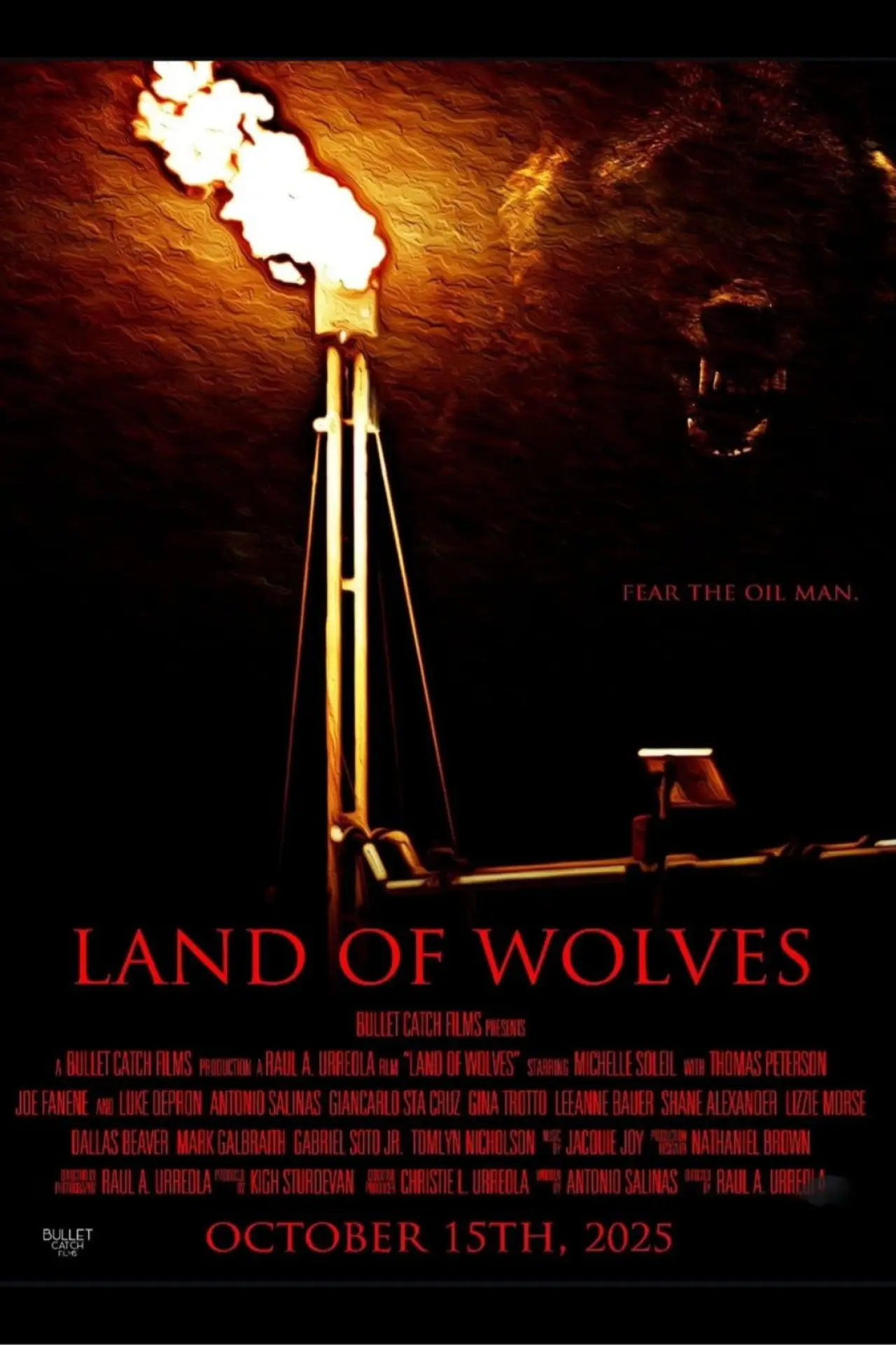 Постер к фильму "Land of Wolves"