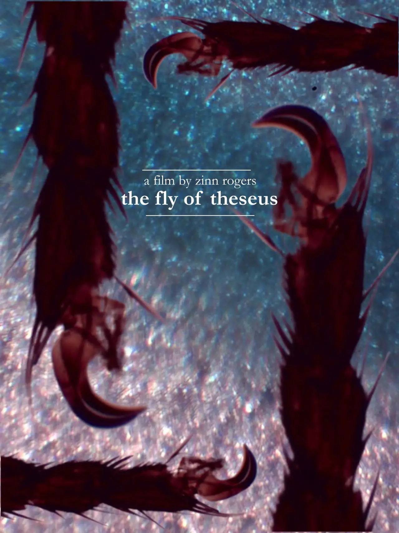 Постер к фильму "The Fly of Theseus"