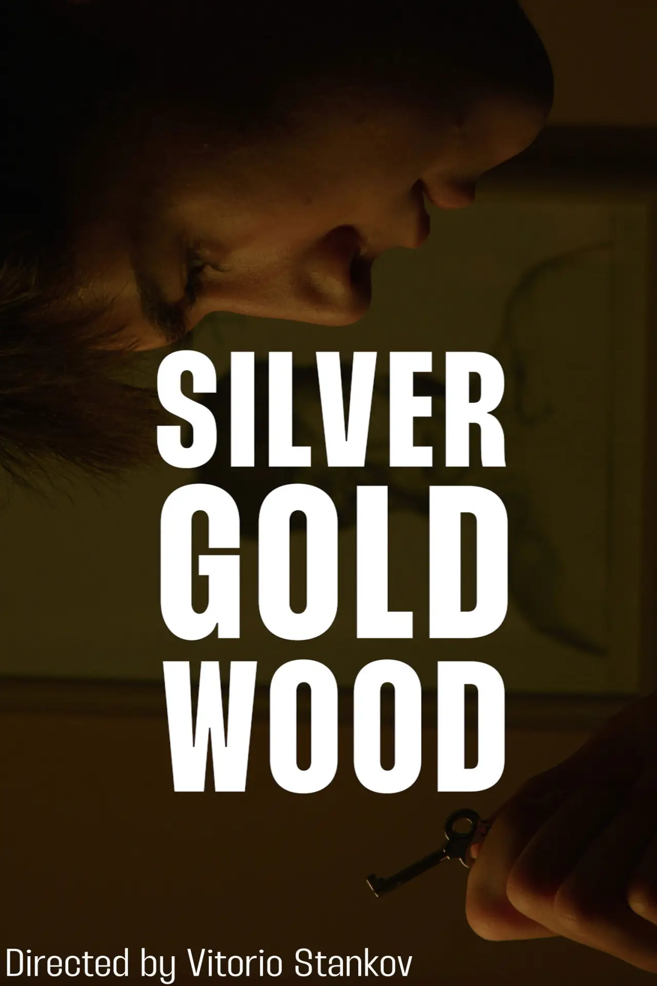 Постер к фильму "Silver Gold Wood"