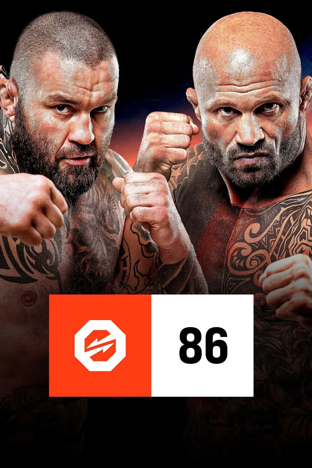 Постер к фильму "OKTAGON 86: Materla vs. Jungwirth"