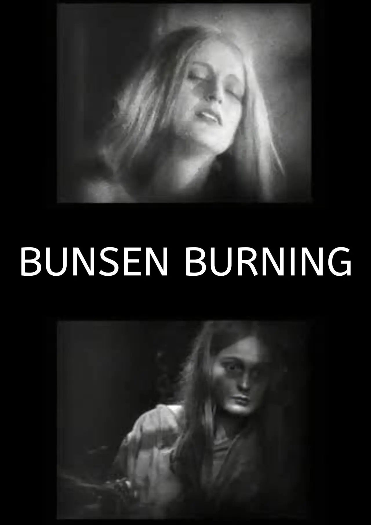 Постер к фильму "Bunsen Burning"