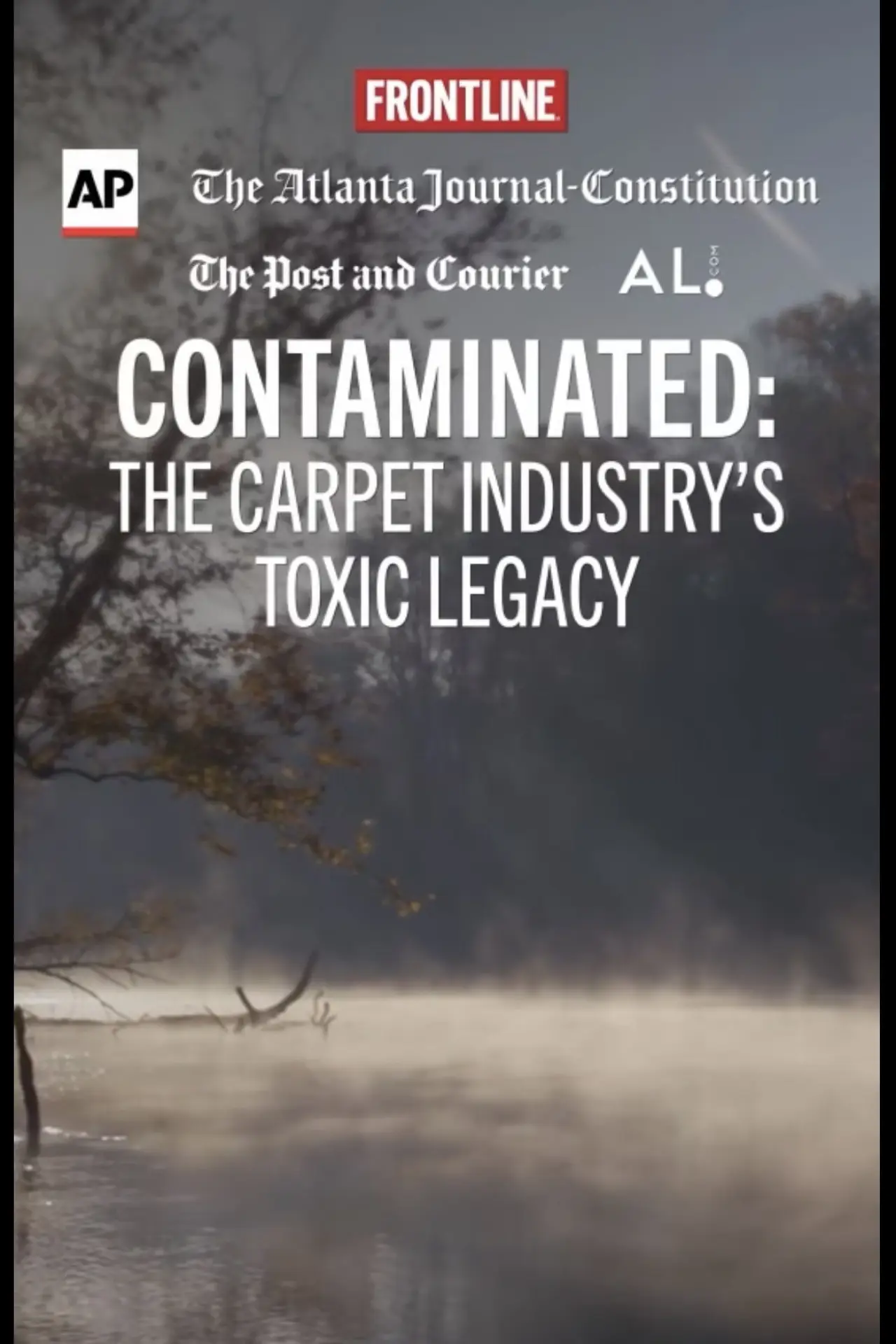 Постер к фильму "Contaminated: The Carpet Industry