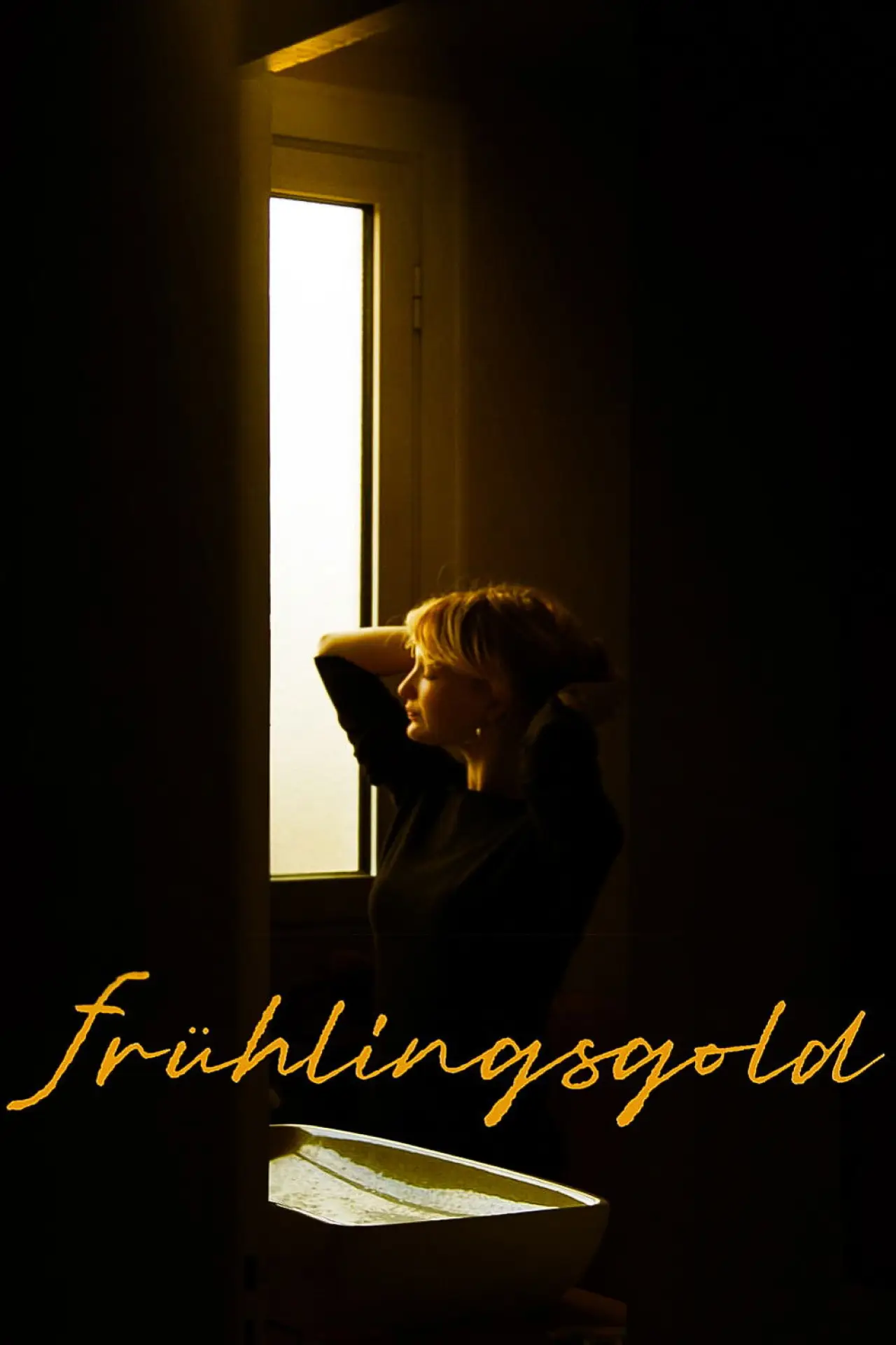 Постер к фильму "Frühlingsgold"
