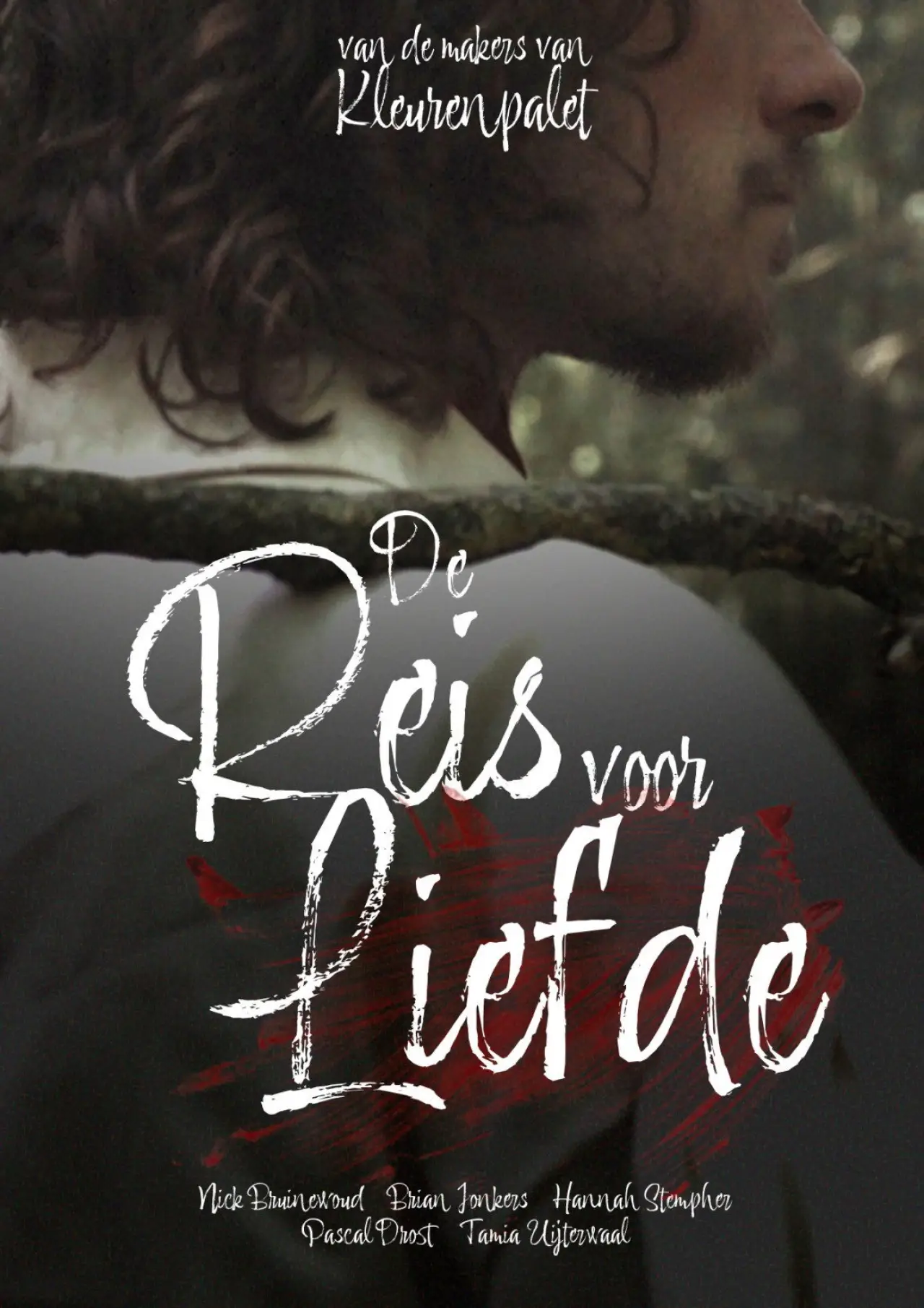Постер к фильму "De Reis Voor Liefde"