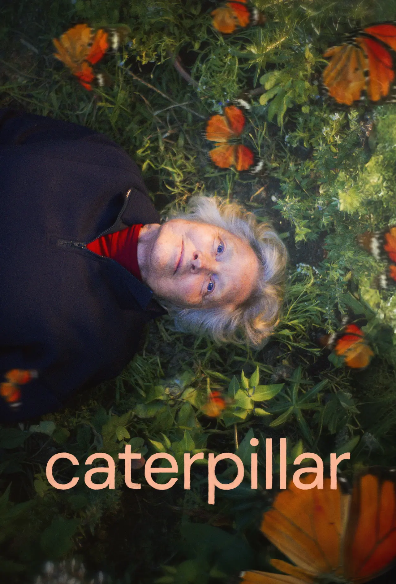 Постер к фильму "Caterpillar"