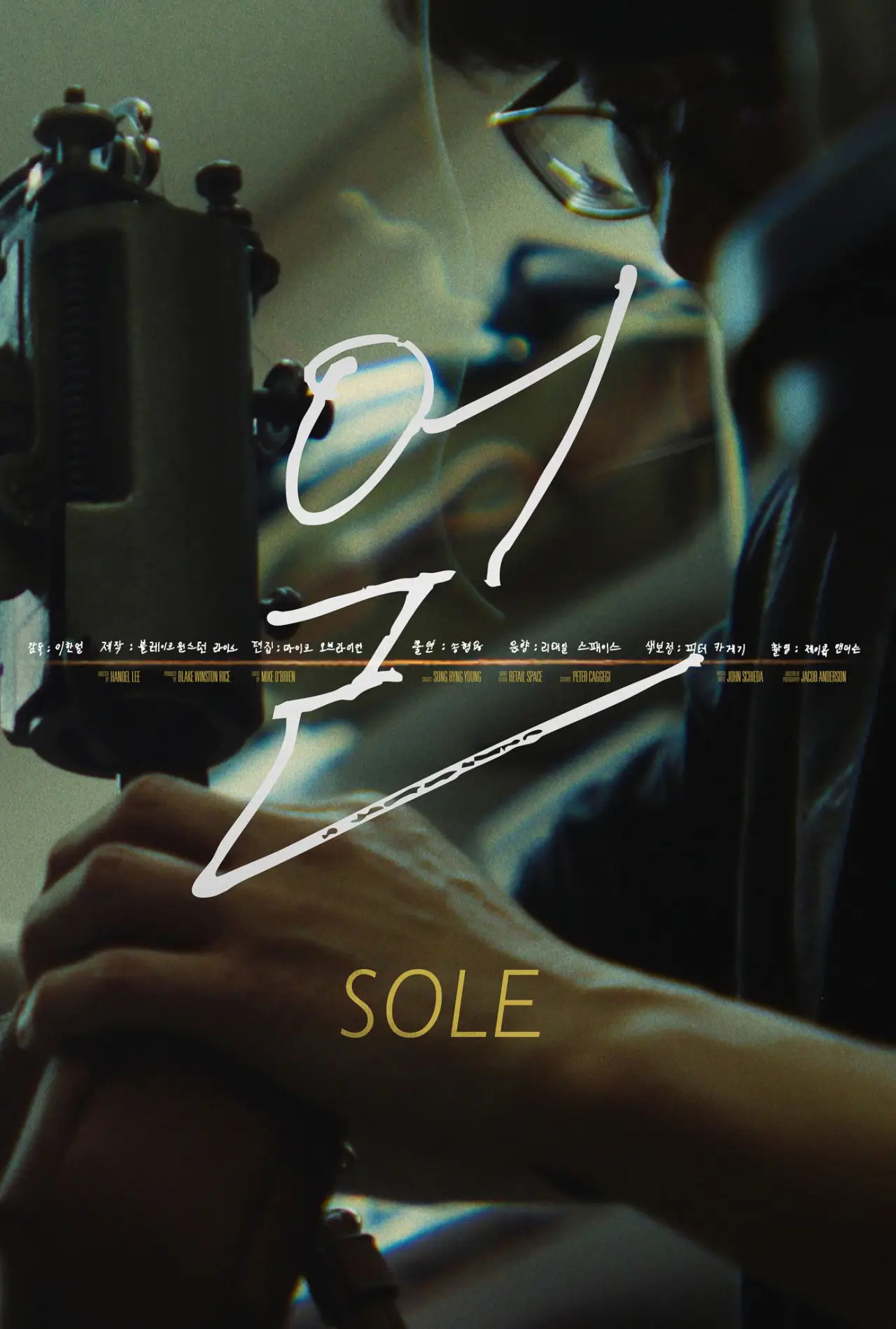 Постер к фильму "Sole (얼)"
