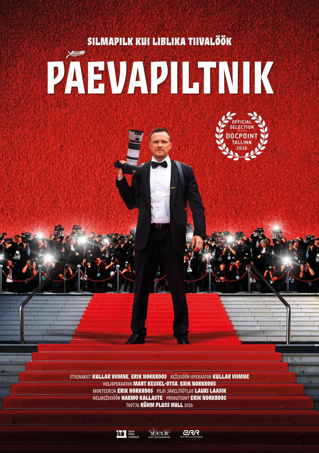 Постер к фильму "Päevapiltnik"