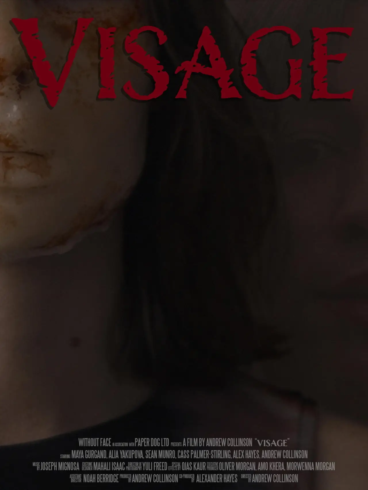 Постер к фильму "Visage"