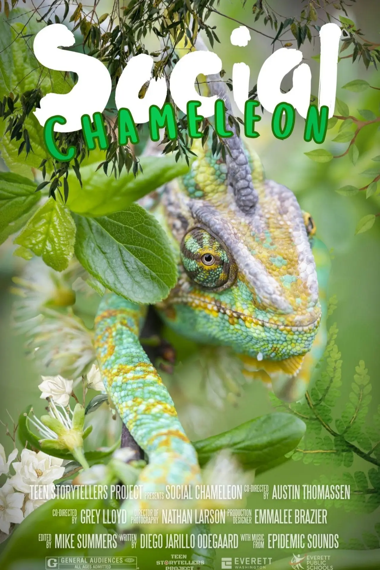 Постер к фильму "Social Chameleon"