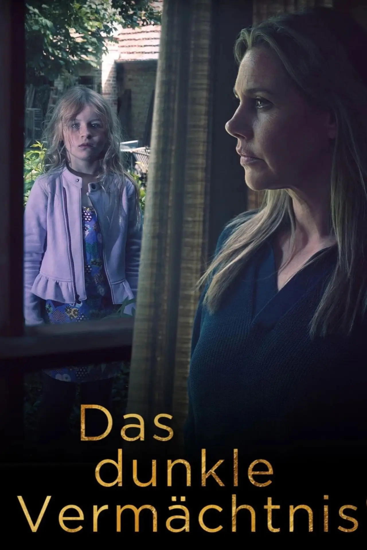 Постер к фильму "Das dunkle Vermächtnis"