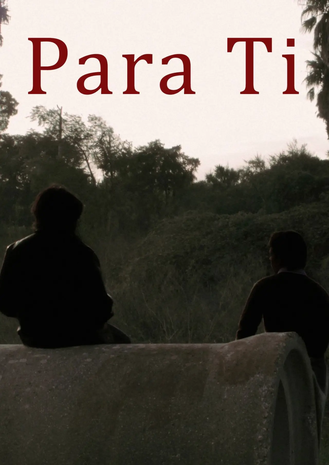 Постер к фильму "Para Ti"