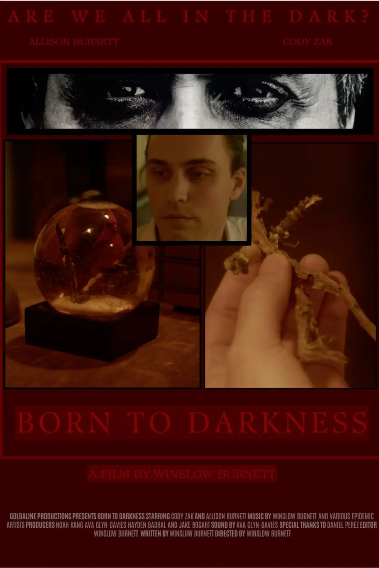 Постер к фильму "Born to Darkness"