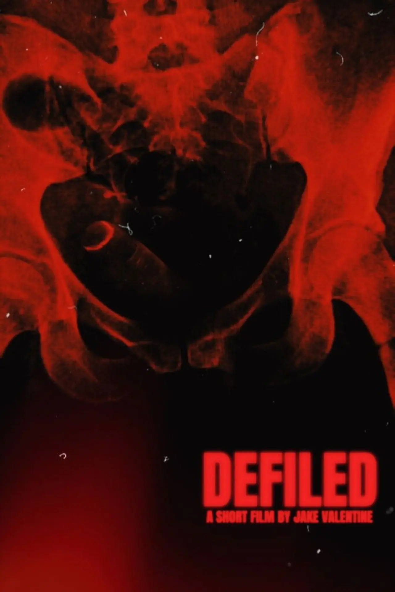 Постер к фильму "Defiled"