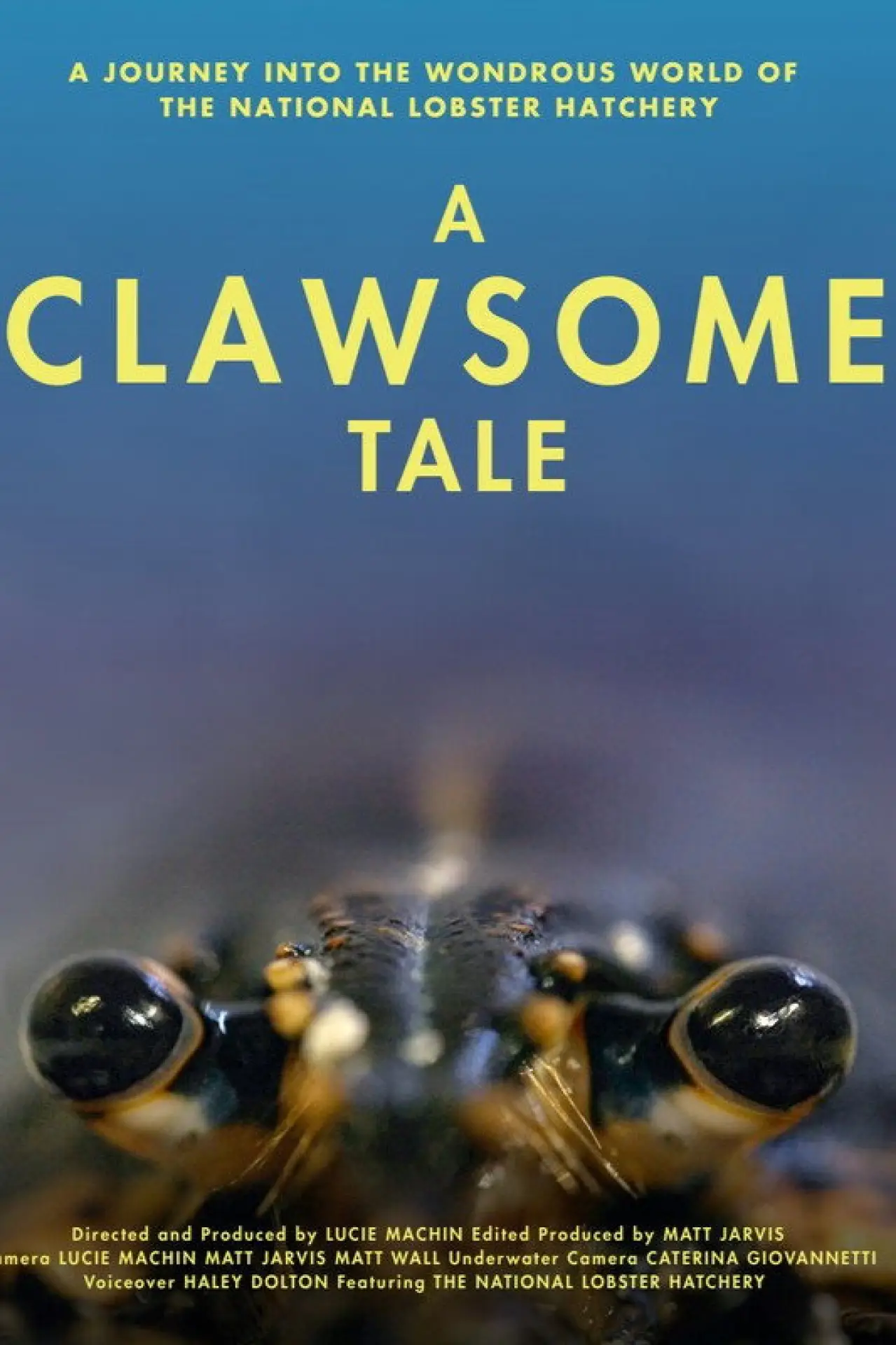 Постер к фильму "A Clawsome Tale"