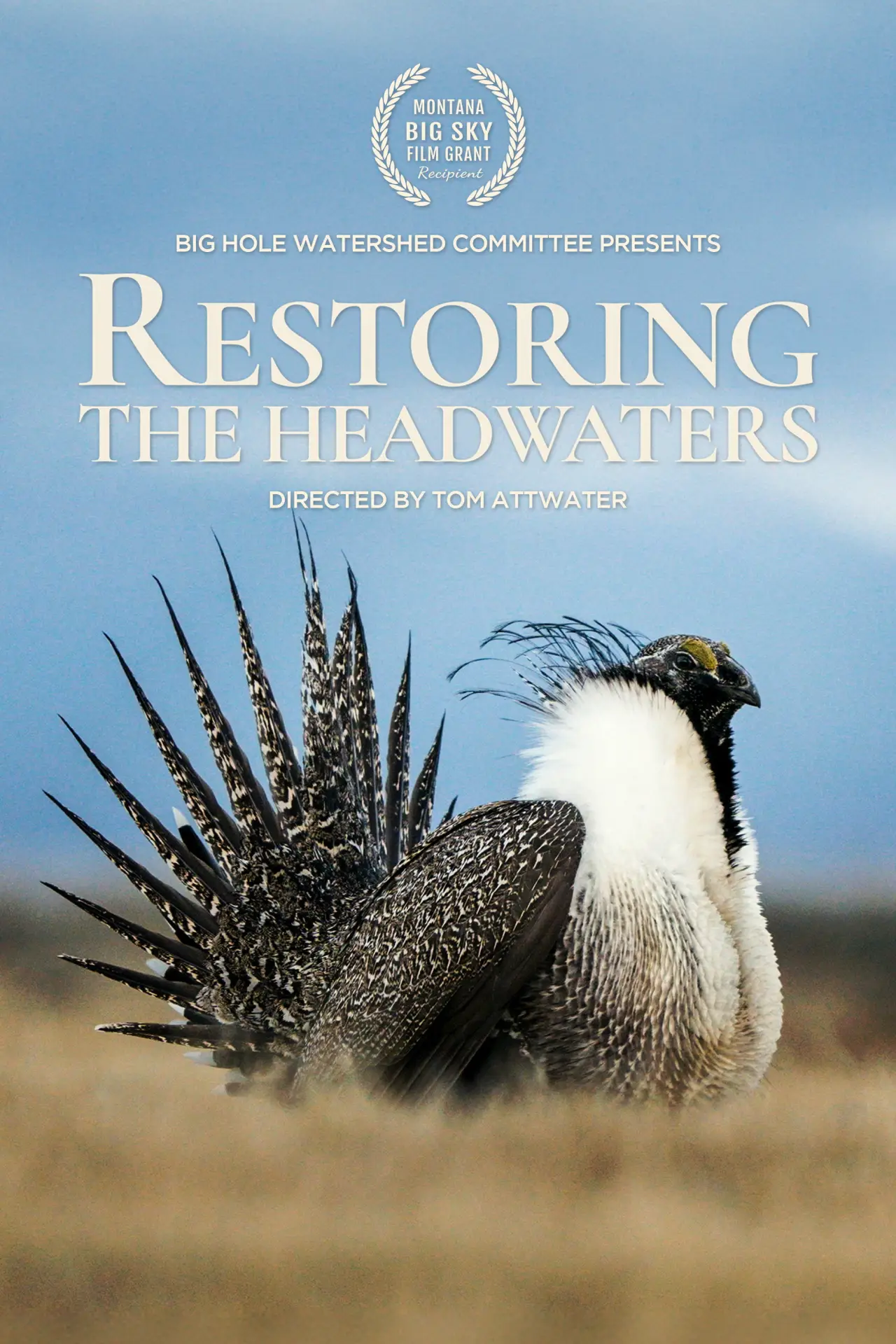Постер к фильму "Restoring the Headwaters"