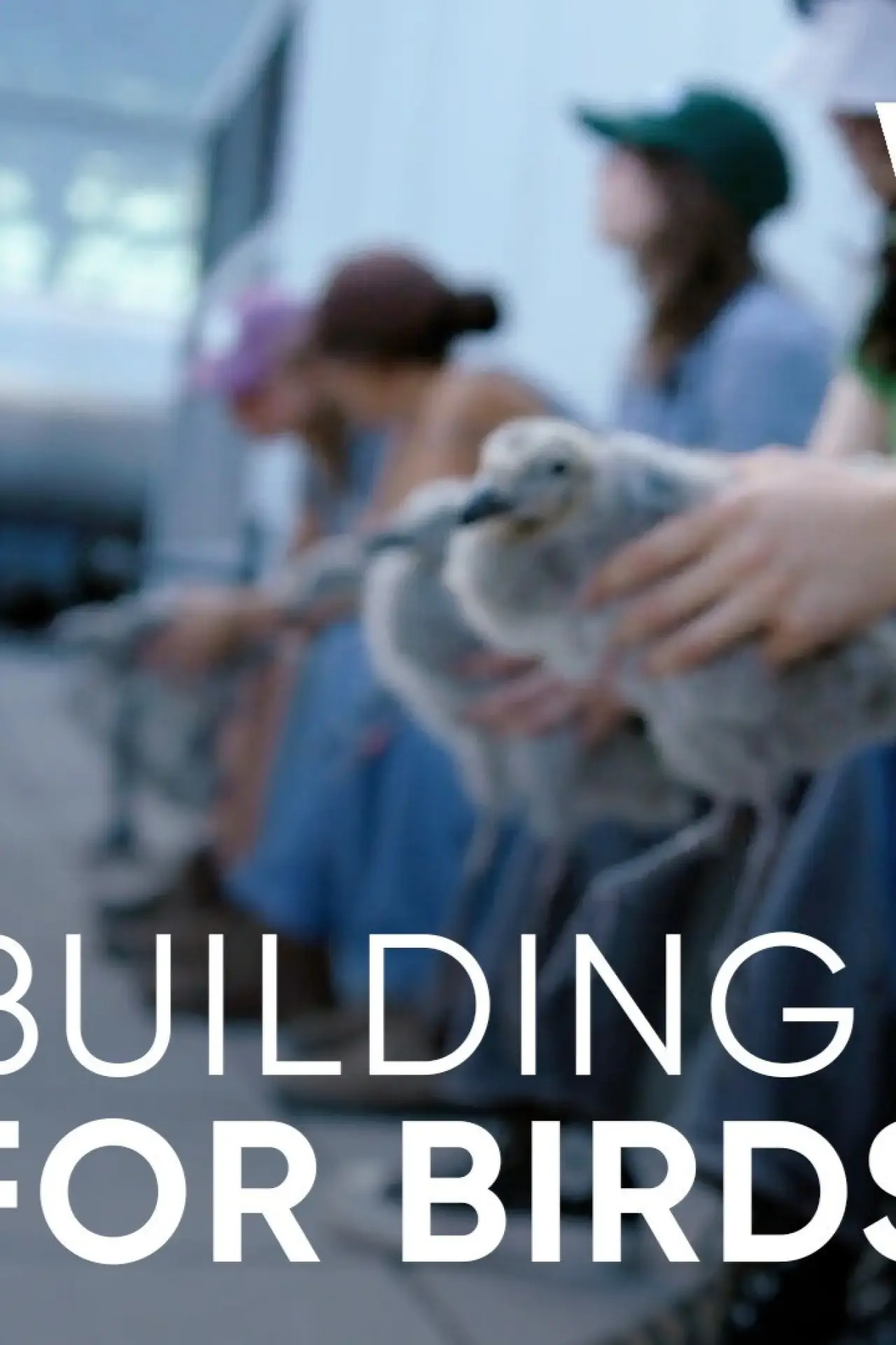 Постер к фильму "Wild Hope: Building for Birds"