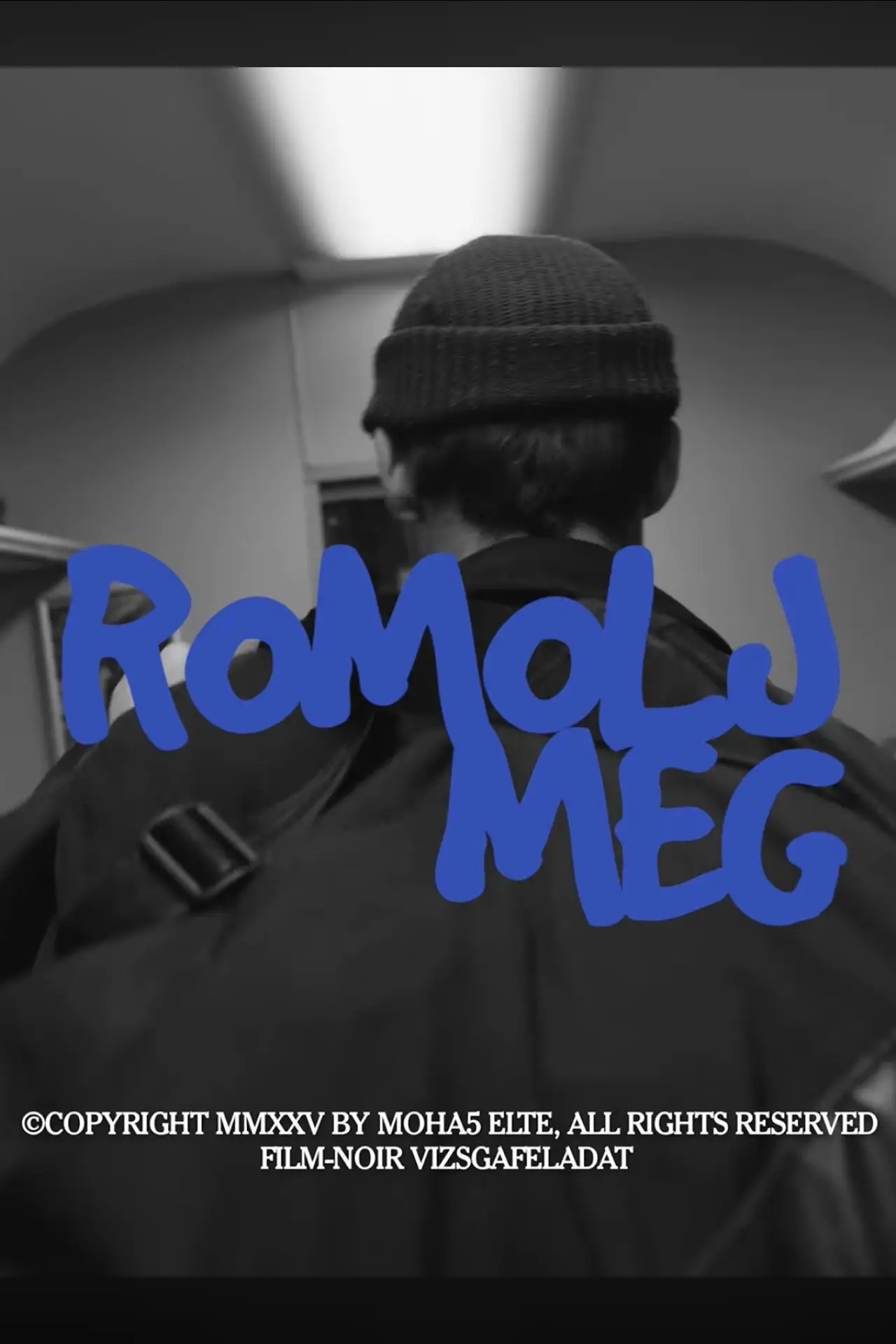 Постер к фильму "Romolj meg"