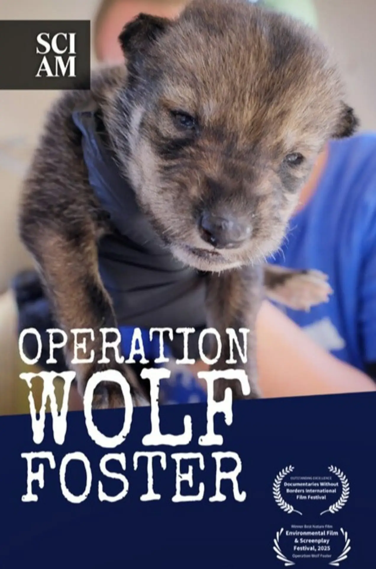 Постер к фильму "Operation Wolf Foster"